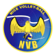 Logo Nice Volley-Ball 2