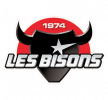 Logo du Bisons de Neuilly-sur-Marne