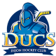 Logo Les Ducs - Dijon