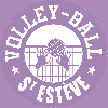 Logo du Saint Estève Volley Ball