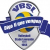 Logo du Volley-Ball Stade Laurentin