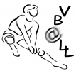 Logo du Volley Bron @ Lyon Lumiere