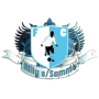 Logo du FC Ailly S/S Samara