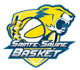 Logo Sainte Savine Basket