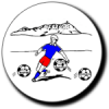 Logo du Sure FC