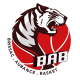 Logo Brissac Aubance Basket