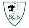 Logo du SC Briatextois