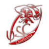 Logo du Union Sportive Casteljaloux