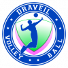 Logo du Draveil Volley Ball