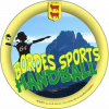 Logo du Bordes Sports handball