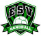 Logo ES Vitry Handball 3