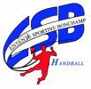 Logo du ES Bonchamp Handball