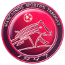 Logo du Marcassins S Treogat