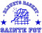 Logo Bleuets Basket Sainte Foy 2