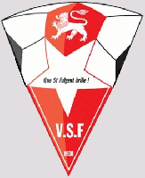 Logo du Vigilante St Fulgent 2