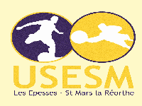 Logo du US les Epesses Saint Mars 3