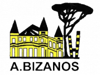 Logo du Avenir Bizanos