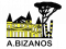 Logo Avenir Bizanos 3