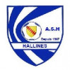 Logo du AS d'Hallines