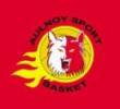 Logo du Aulnoy Sport Basket