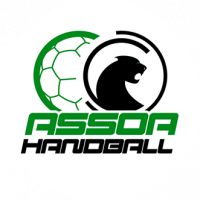 Logo du ASSOA Handball