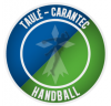 Taule Carantec Handball