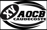 Logo du Alliance Ovalienne Caudecostoise En Brulhois