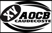 Logo du Alliance Ovalienne Caudecostoise