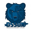 Logo du Basket Club Ossunois