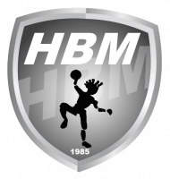 Logo du Hand Ball Mothais 2