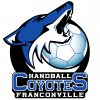 Logo du Handball Club Franconville