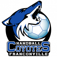 Logo du Handball Club Franconville 3