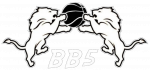 Logo du Basket Ball du 5ème
