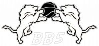 Logo du Basket Ball du 5ème 2