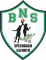 Logo Basket Nord Sundgau