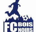 Logo du FC des Bois Noirs 2