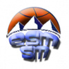Logo du ES Martin S Michel