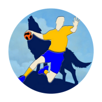 Logo du Handball Club du Havre de Vie