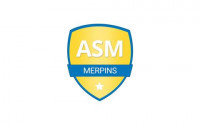 Logo du Am.S. Merpins 2