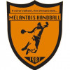 Mélantois Handball