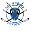 Logo du Roller Club de Juvigny