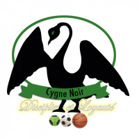 Logo du Cygne Noir