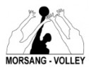 Logo du Morsang Volley