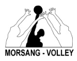 Logo du Morsang Volley 2