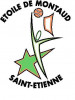 Logo du St Etienne Montaud