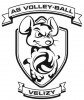 Logo du AS Volley-Ball Velizy