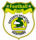 Logo Entente Sportive Nanterre Football 3