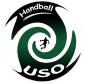 Logo du US Ormesson Handball