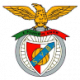 Logo Benfica Yerres A Sports