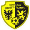 Logo du Boussy-Quincy Football Club